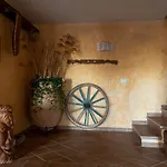Affittacamere S'Alzola Guest house Porto Rotondo